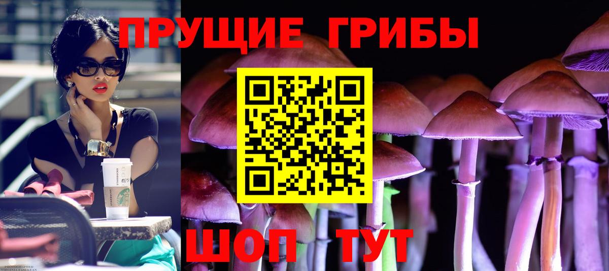 Галлюциногенные грибы мицелий Димитровград