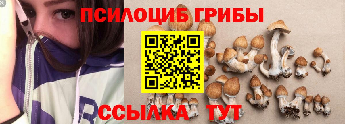 Псилоцибиновые грибы GOLDEN TEACHER  Псилоцибиновые грибы Psilocybe  Димитровград  где купить   Вход с VPN 